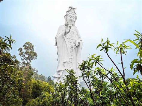 香港慈恩寺|大埔慈山寺預約攻略｜免費預約連結/交通/抄經活動/開 